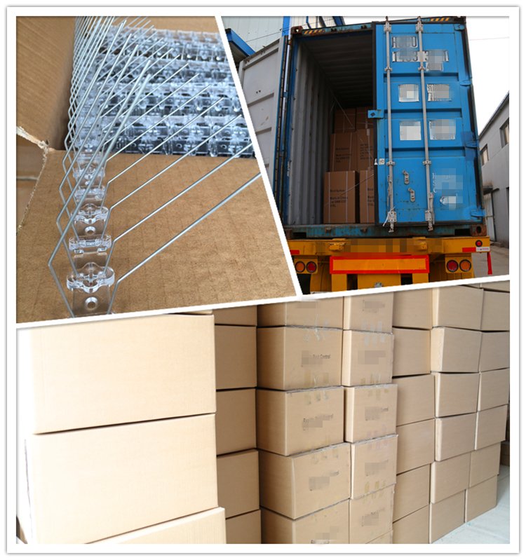  Durable Stainless Steel Plastic Anti Bird Spike packing