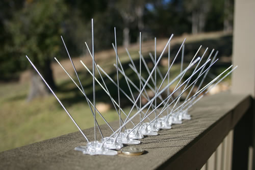 WIDE base PC bird spikes