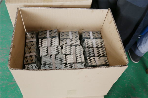 double teeth nial plate 4