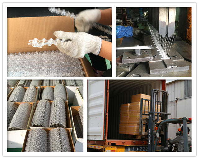 5 Rows Polycarbonate Base Stainless Steel 304 Bird Spikes production process