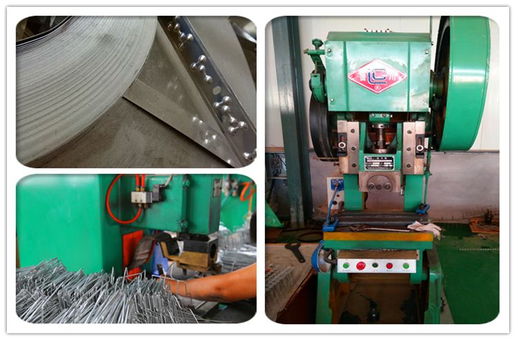 5 Rows Flexible Base Stainless Steel Bird Spikes production