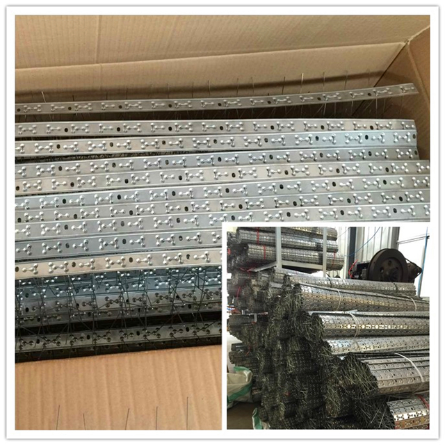 5 Rows Flexible Base Stainless Steel Bird Spikes packing