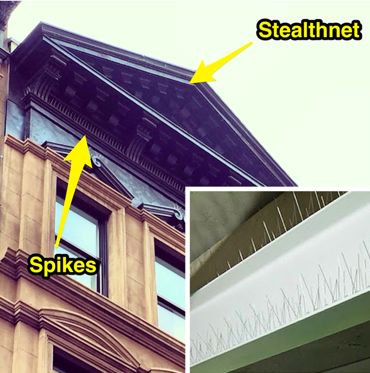 bird spike - HB SINCERITY