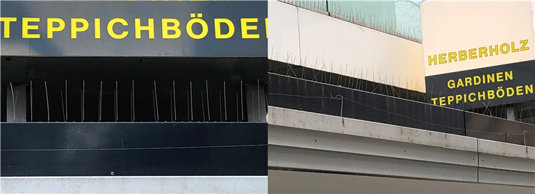 Professional Bird Control Spikes application