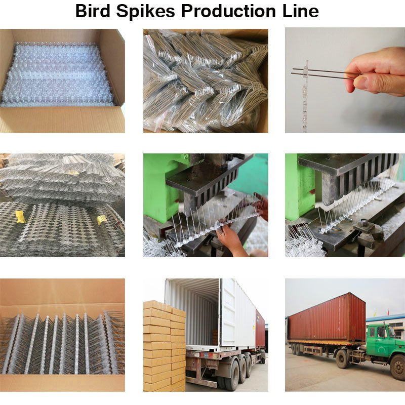 Professional Bird Control Spikes packing