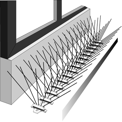 Anti Bird Spikes 