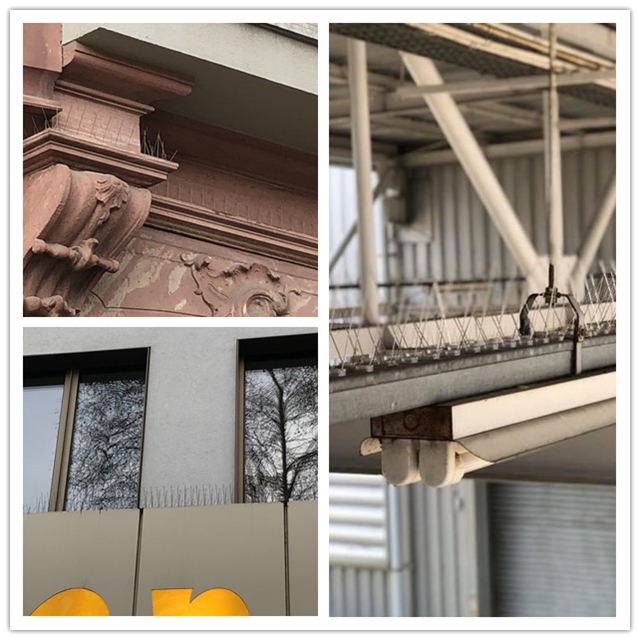 3 Rowa Deterrent Roosting Anti Bird Control Spikes application