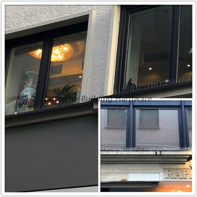 5 Rows Flexible Base Stainless Steel Bird Spikes application