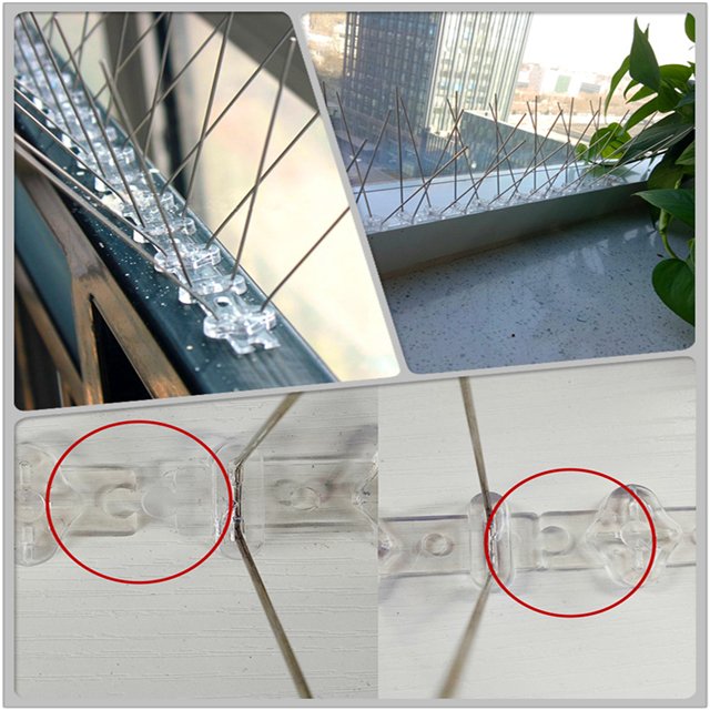 Humane Effective Garden Bird Control Spikes