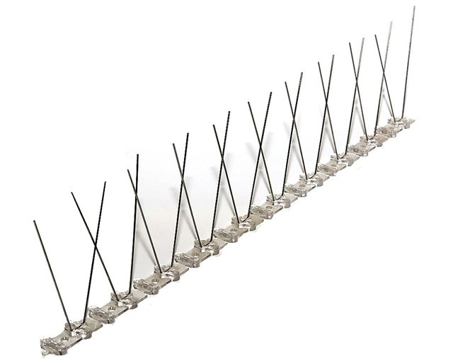 Great Deterrent for Birds