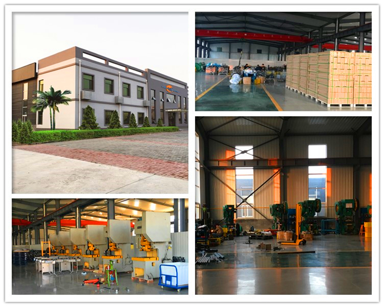 Stainless Steel Bird Spike in Stock factory