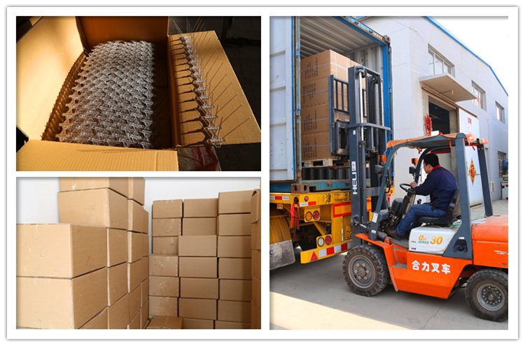  Bird Control Repellent Device Anti Pigeon Spike Plastic packing