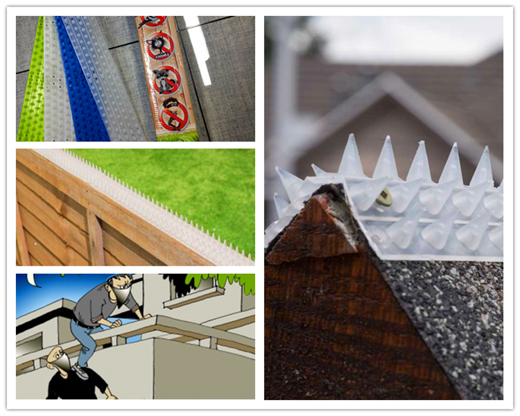 5 Rows Bird Control Spikes application