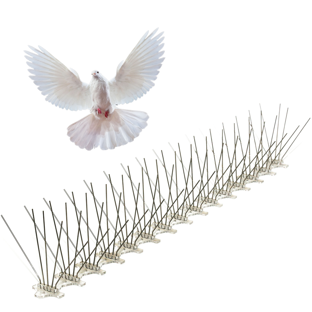 plastic bird spike