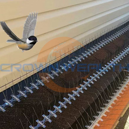 PC Base with Stainless Steel Spikes: Benefits for Bird and Pest Control