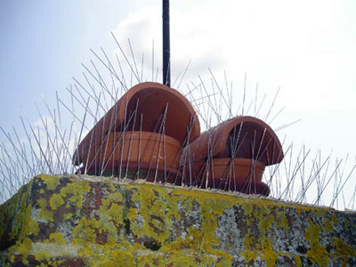 bird spikesStainless steel bird spikes